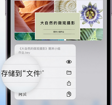 美兰apple维修中心分享iPhone文件应用中存储和找到下载文件