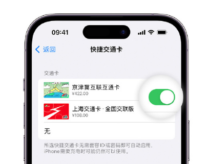 美兰apple维修点分享iPhone上更换Apple Pay快捷交通卡手绘卡面 