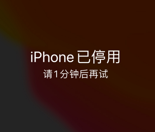 美兰苹果手机维修分享:iPhone 显示“不可用”或“已停用”怎么办？还能保留数据吗？ 