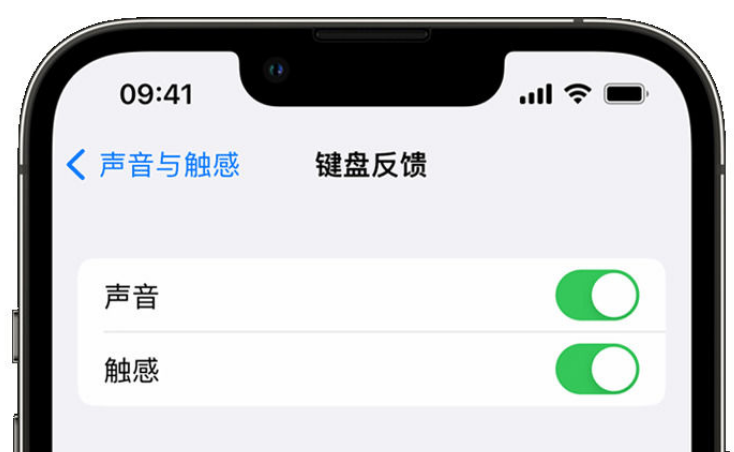 美兰苹果手机维修分享iPhone 14触感键盘使用方法 