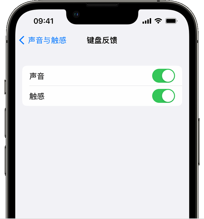 美兰苹果14维修店分享如何在 iPhone 14 机型中使用触感键盘 