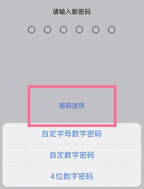 美兰苹果14维修分享iPhone 14plus设置密码的方法 