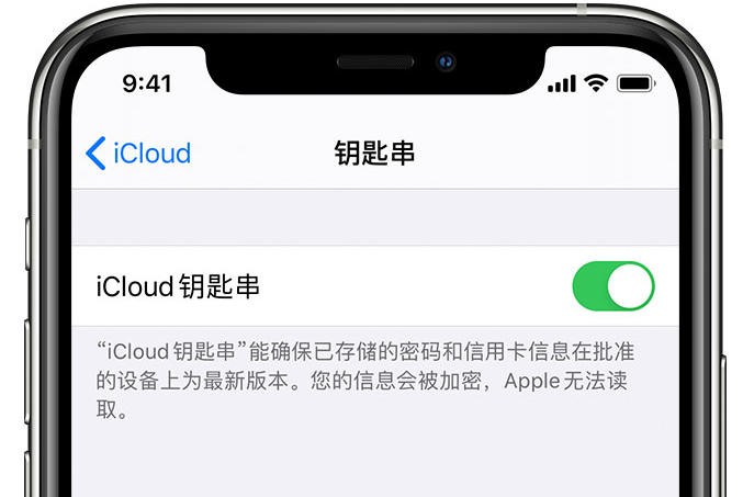 美兰苹果手机维修分享在 iPhone 上开启 iCloud 钥匙串之后会储存哪些信息 