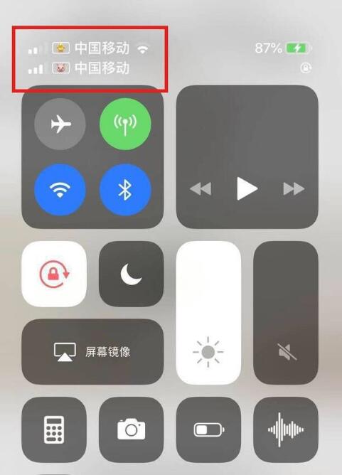 美兰苹果手机维修分享为 iPhone 12 双卡设置标签 