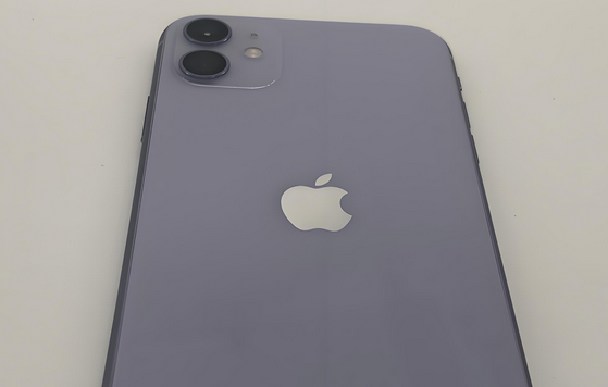 美兰苹果11系统维修分享iPhone11手机系统崩溃无法开机如何解决 